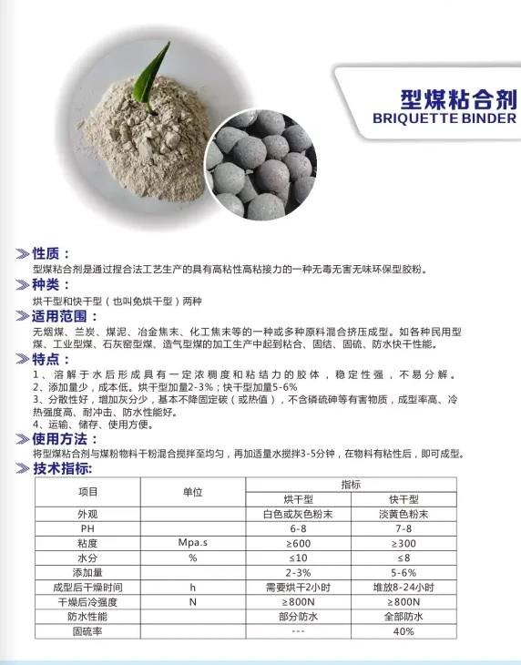 型煤图1.png